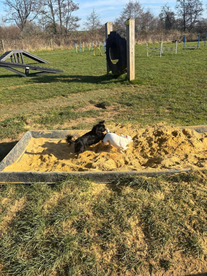The sandpit