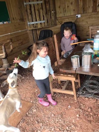 The inside of the shelter